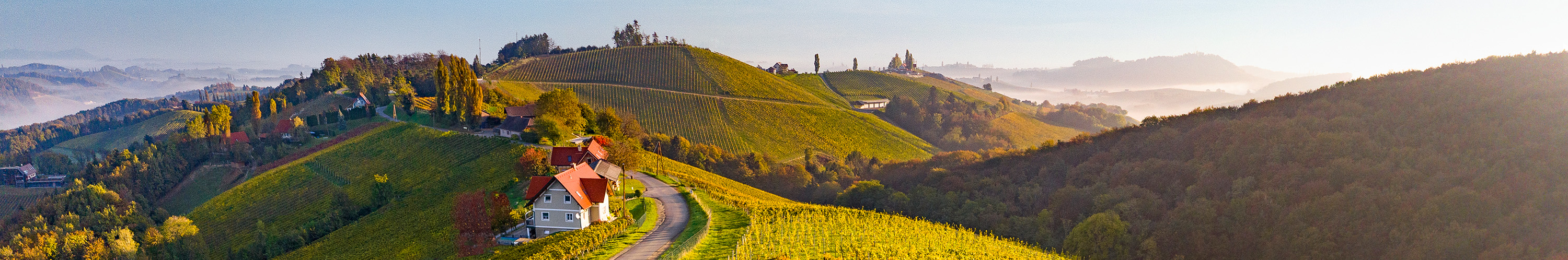 Blick auf Weinberge in der Südsteiermark