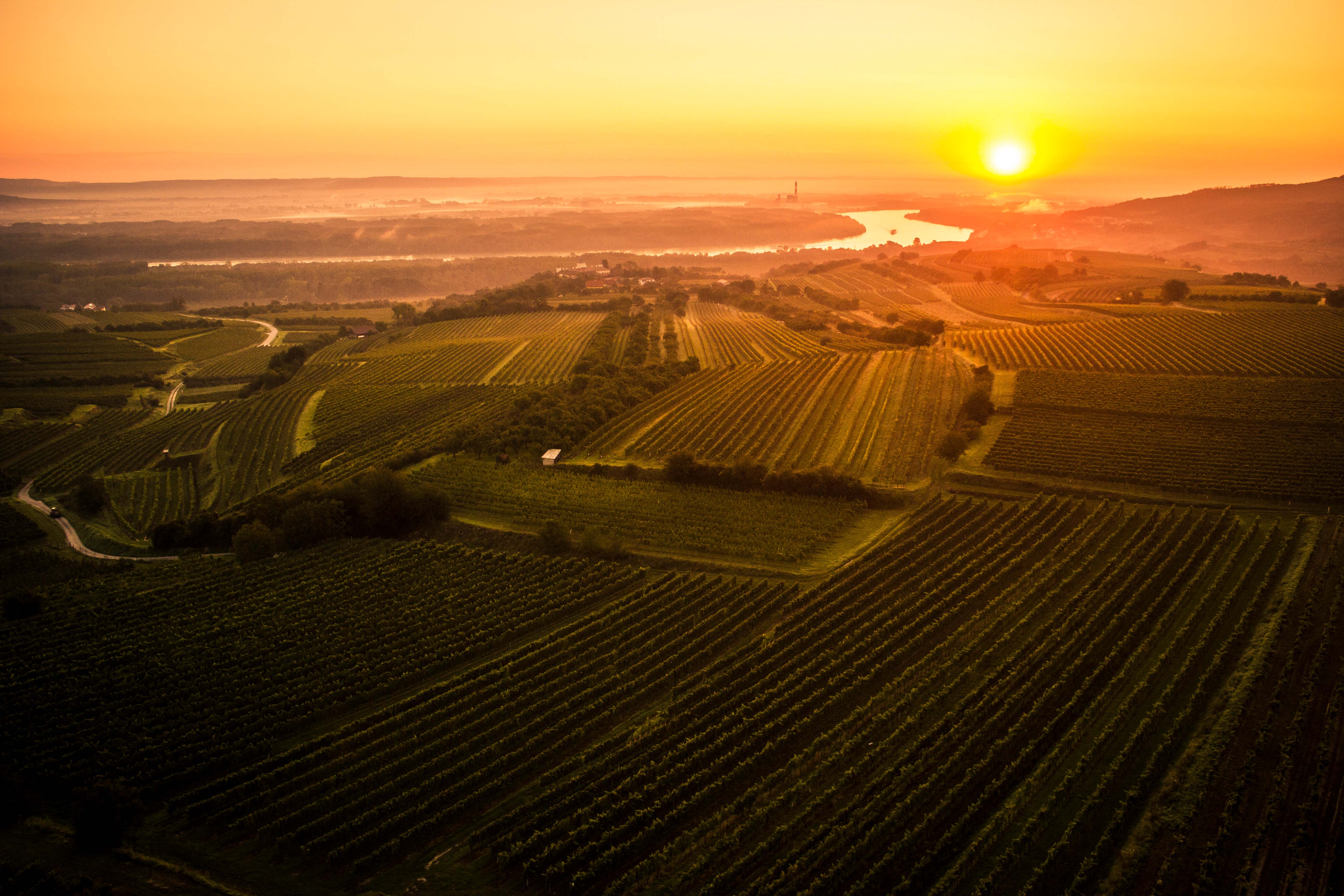 Weingut Dockner Blick über den Wolfsberg mit untergehender Sonne
