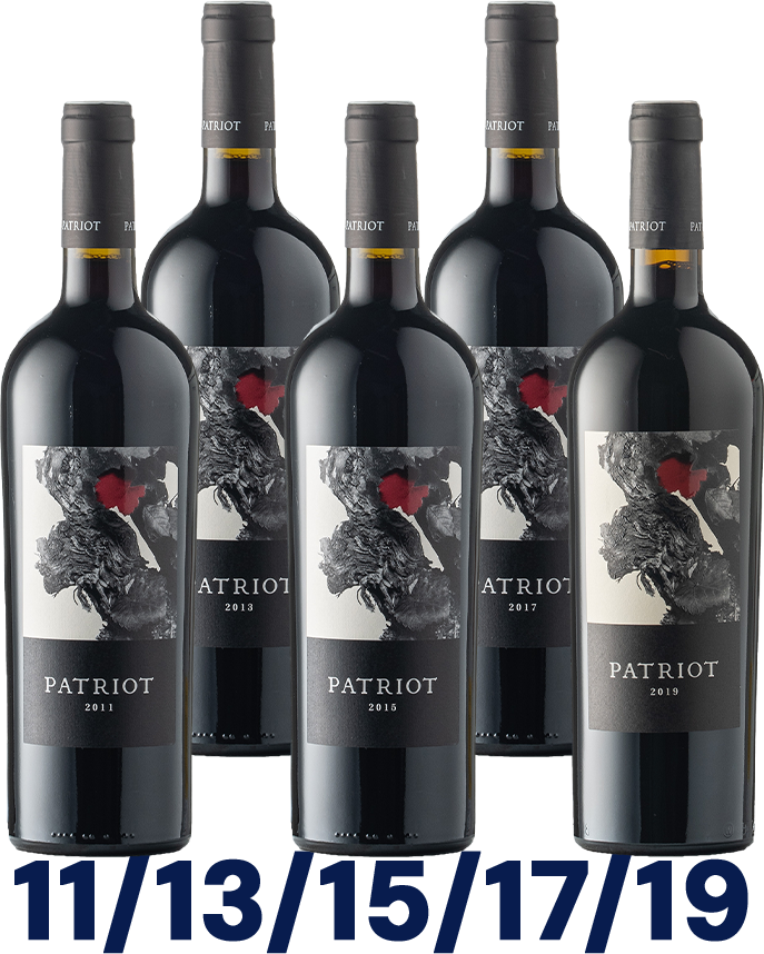 Vertikale: Patriot
