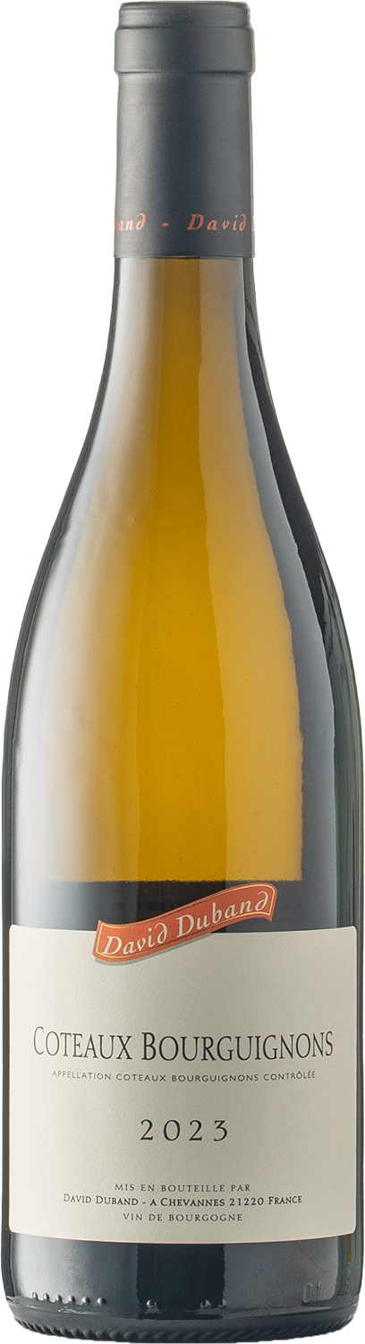 Coteaux Bourguignons Blanc AOC