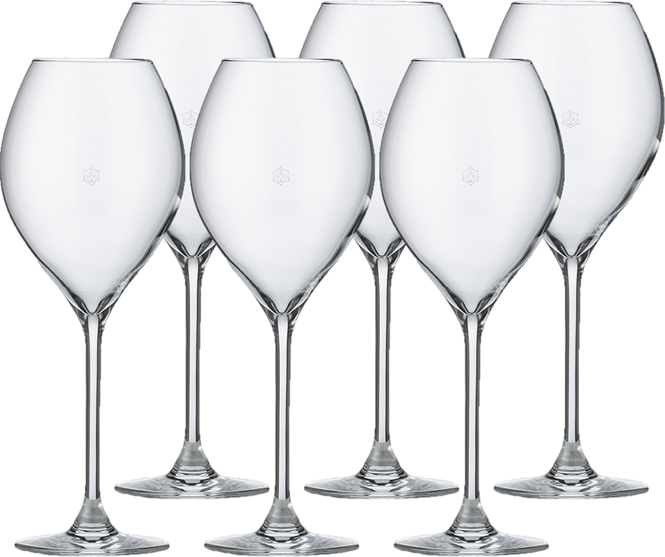 6 Stück Champagner Gläser