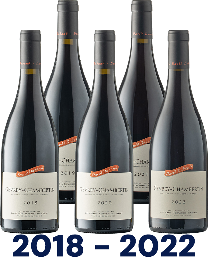 Vertikale: Gevrey-Chambertin AOC