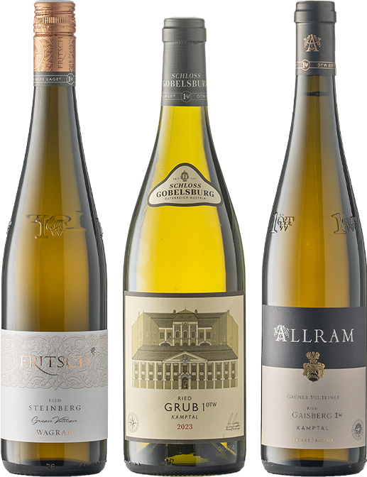 Weinset: Grüner Veltliner 1.ÖTW