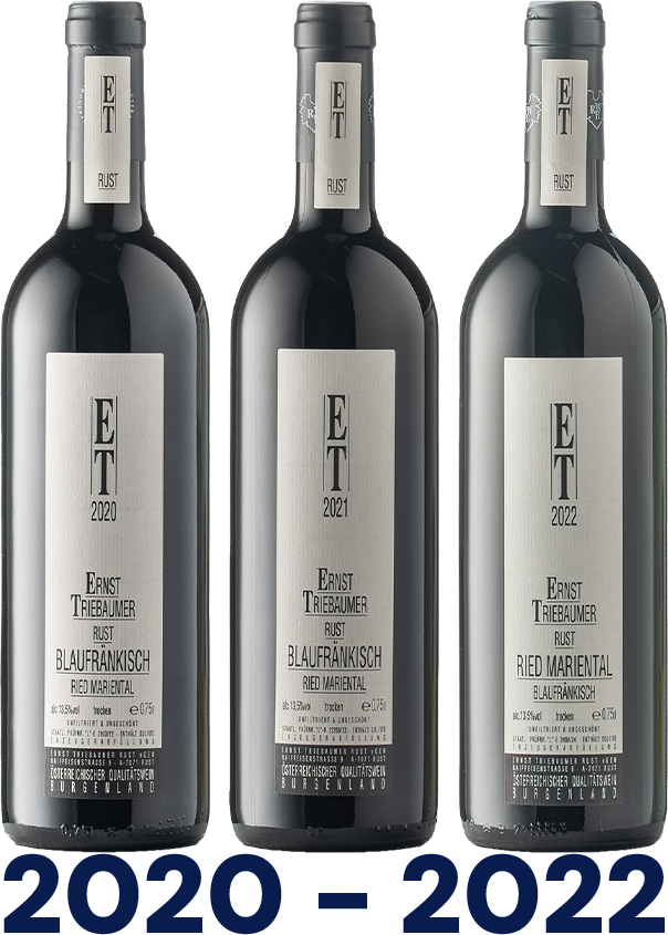Vertikale: Blaufränkisch Ried Mariental