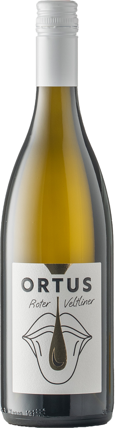 Ortus Roter Veltliner Ried Manhartsberg