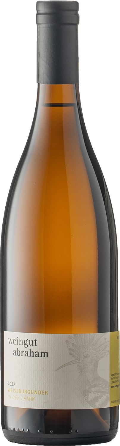 Weißburgunder in der Lamm Weißburgunder in der Lamm