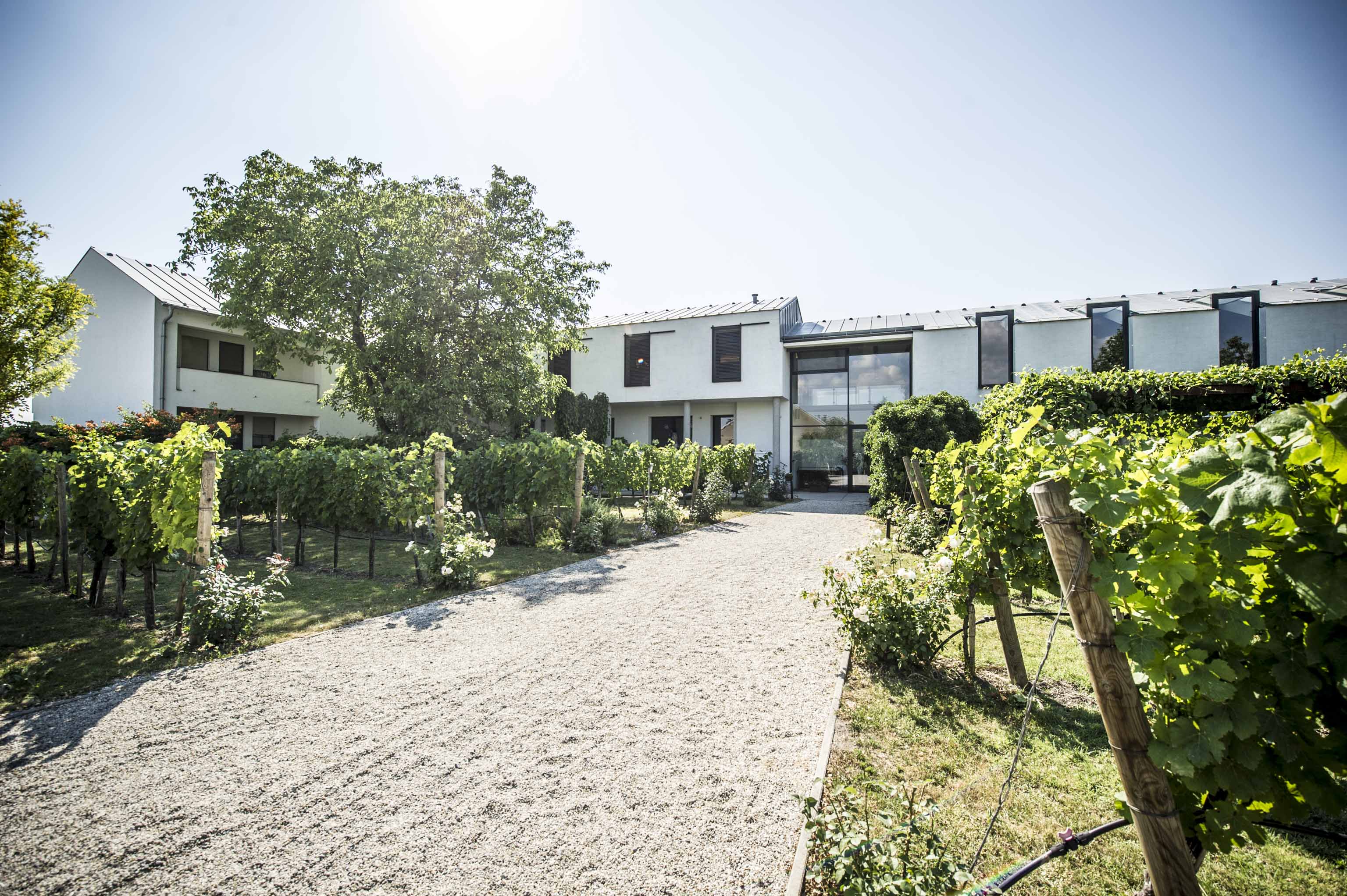 das Hauptgebäude von Weingut Kracher - moderner und schlichter Bau