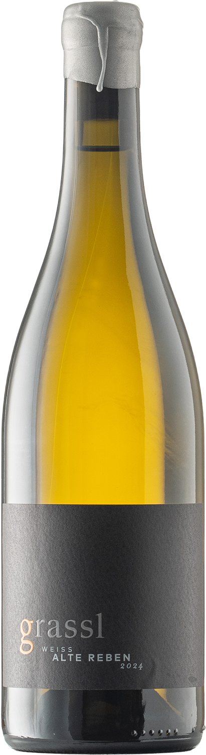 Alte Reben Weiß
