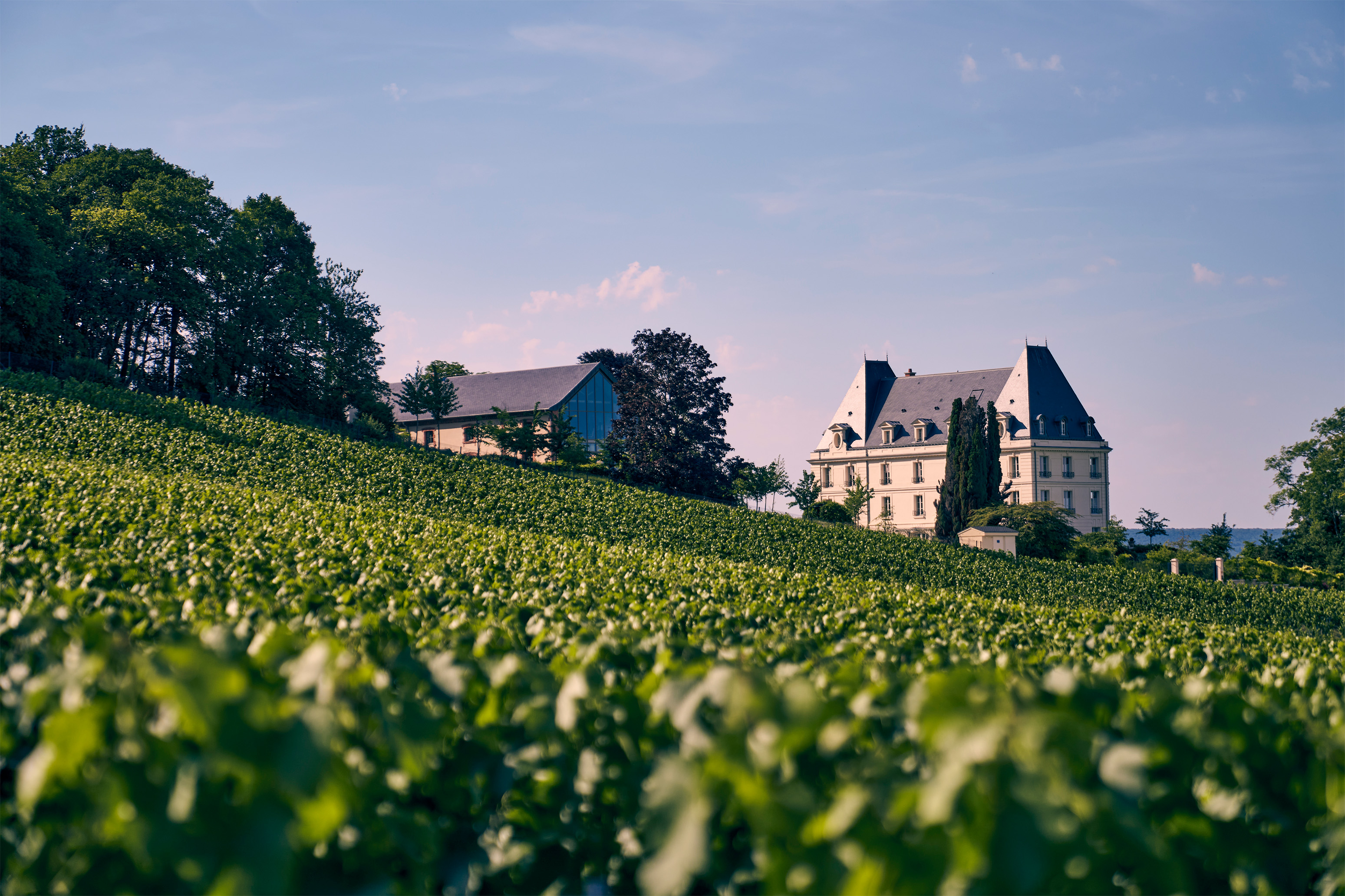 das Schloss von Moet Chandon - wunderschön mit viel Grün im Vordergrund