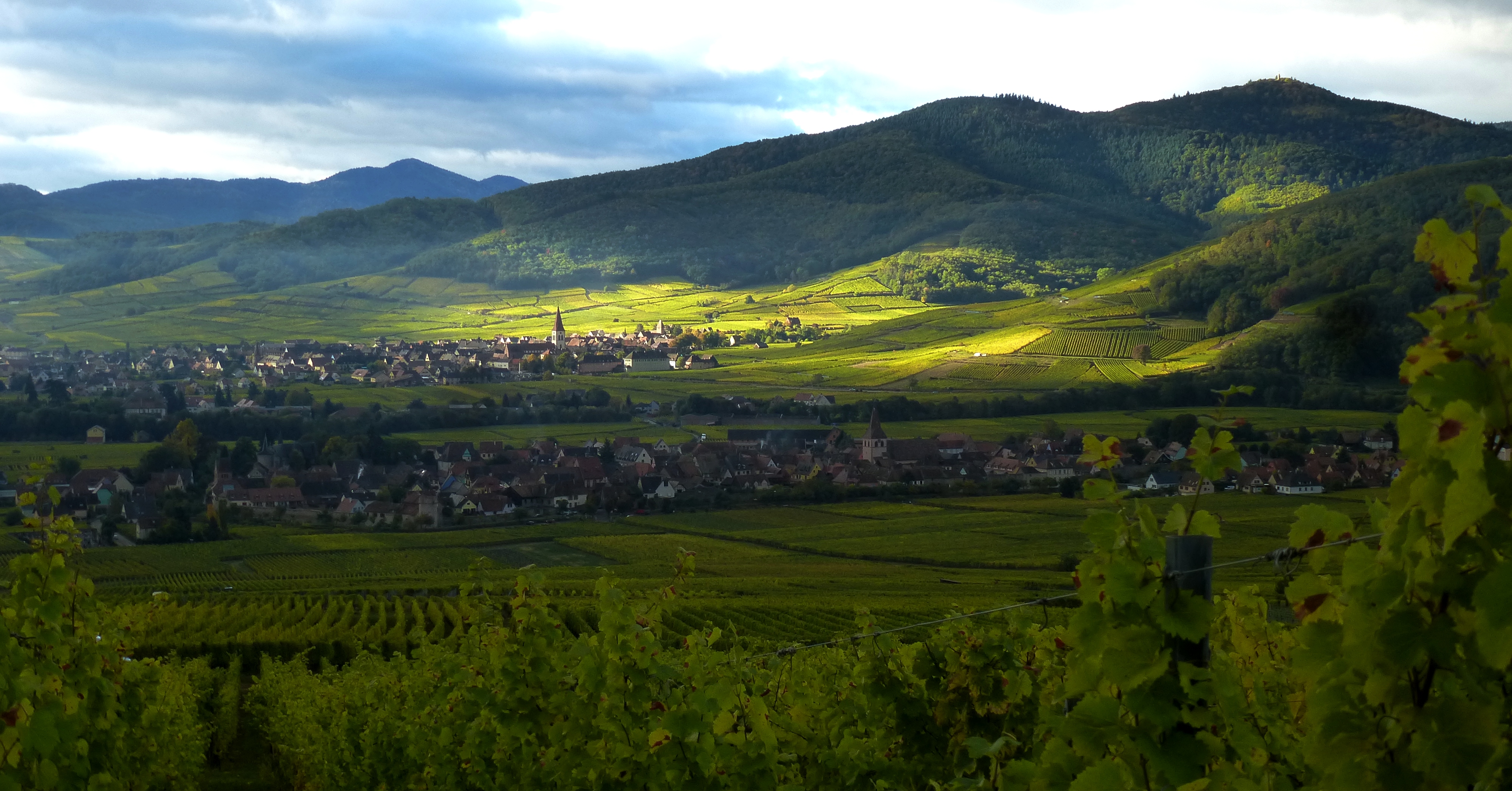 das Gebiet Elsass von Oben mit einem Berg im Hintergrund