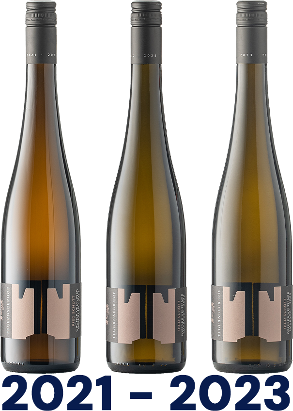 Vertikale: Grüner Veltliner Ried Schütt Smaragd