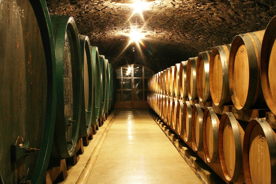 der Reifekeller von Weingut Leberl mit vielen übereinandergestapelten Weinfässern unter einem Gewölbe