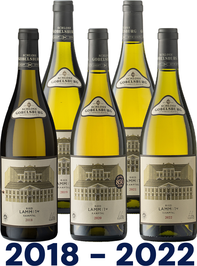 Vertikale: Grüner Veltliner Ried Lamm 1.ÖTW